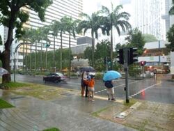 Orchid Hotel (D2), Retail #629210481